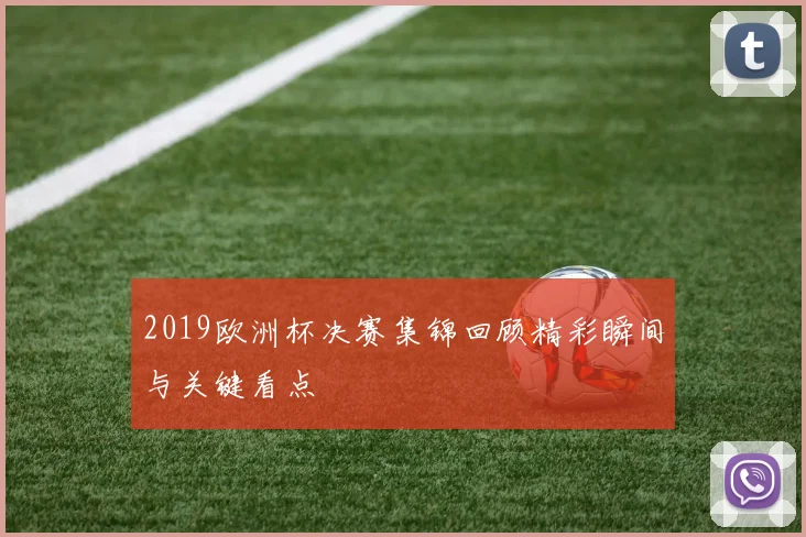 2019欧洲杯决赛集锦回顾精彩瞬间与关键看点