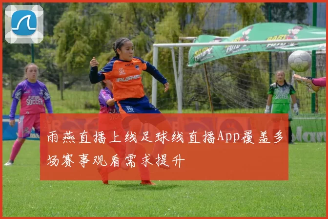 雨燕直播上线足球线直播App覆盖多场赛事观看需求提升